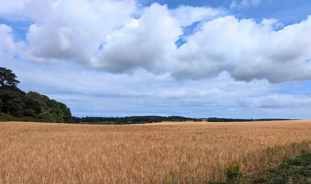 Agricultural land valuation image of Norfolk field