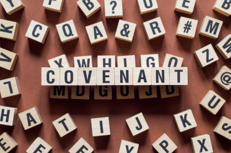 Covenant image