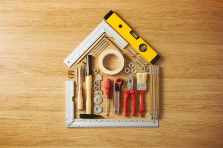 DIY house web