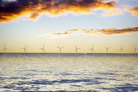 wind farm web