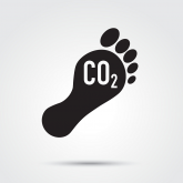 Carbon footprint web
