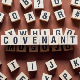 Covenant web
