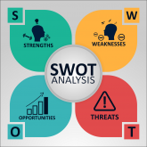 SWOT WEB