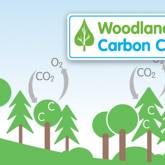 the uk woodland carbon code