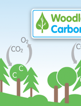 the uk woodland carbon code