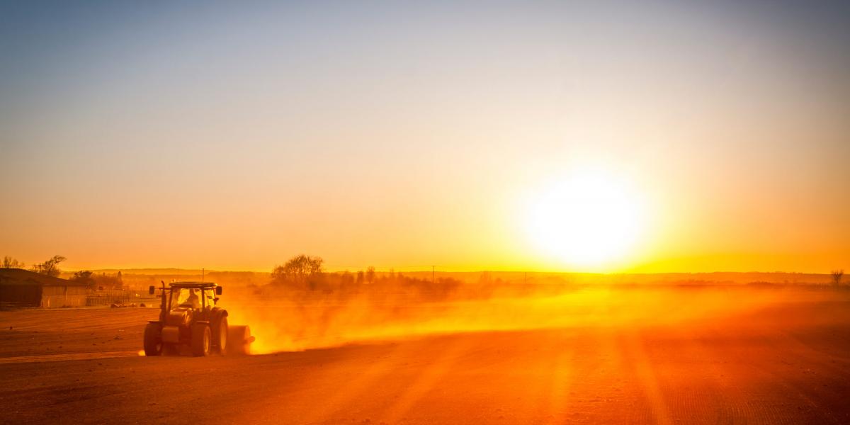 agriculture farm sunset