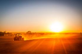 agriculture farm sunset