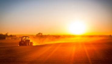 agriculture farm sunset