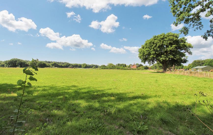 c7d42e32 15b9 4ba6 8407 825c3fe44697