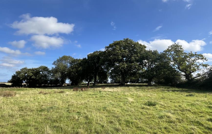 368991b4 85a2 4732 acb3 8f064a28926b