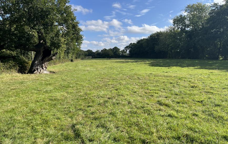 ec2436d5 b67b 493d b708 39d2d93b51ea