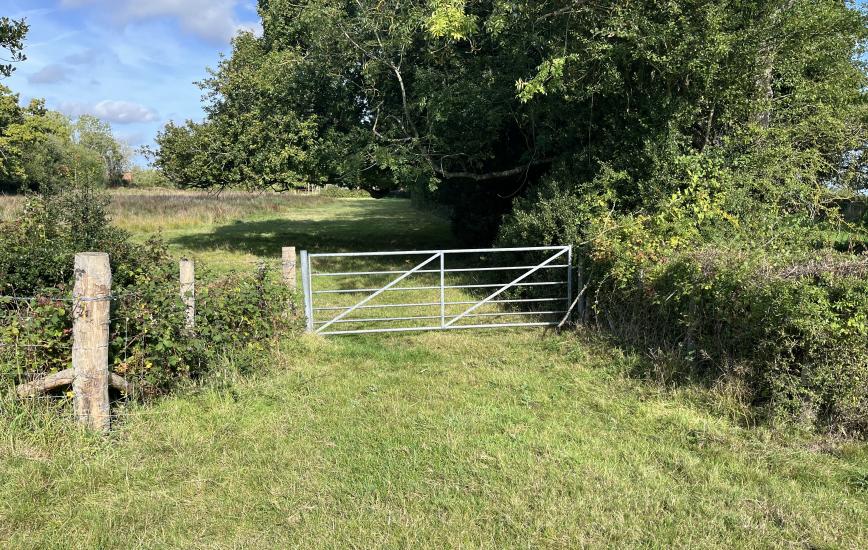 f14df972 920c 4a31 b709 b9894d306f0f