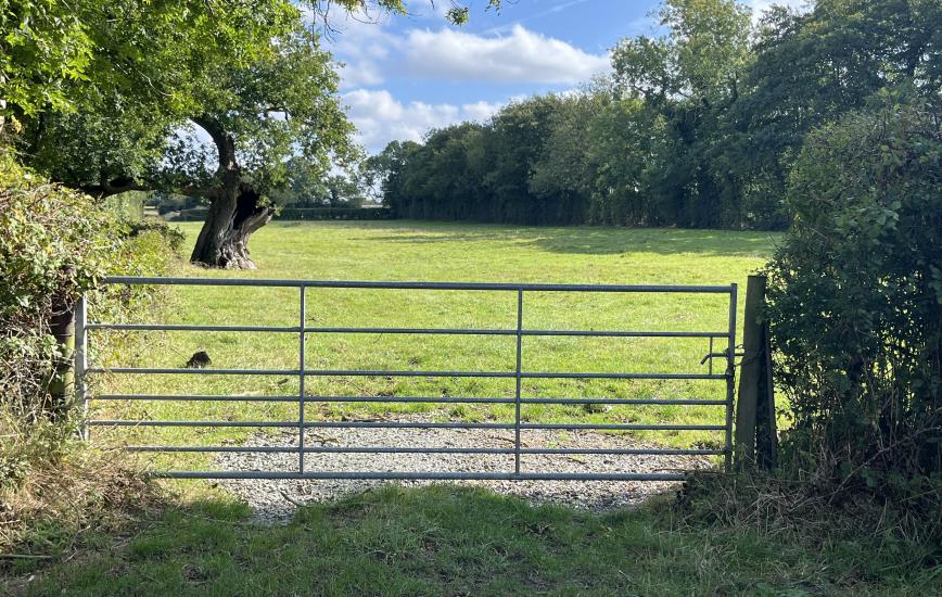 f7d828b6 9a34 415c 90f2 6b699f33558c